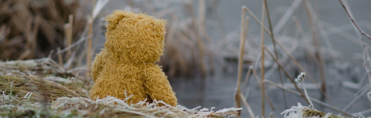 bear plush toy on grass